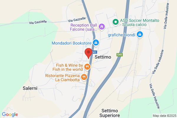 Mannarino ettore (Dr.)