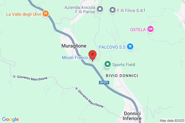 Ditta Miceli Domenico