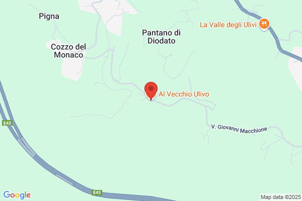 Pizzeria Al Vecchio Ulivo