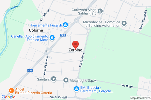 Zerbino bruno