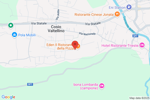Pontiggia claudia