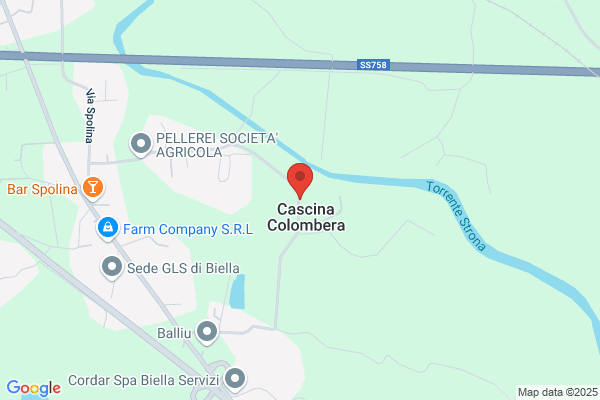 Officine Delpiano Di Delpiano Emiliano E C s.N.C.