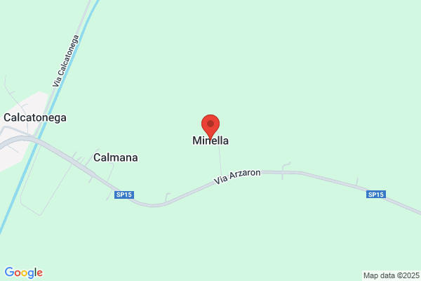 Minella sergio