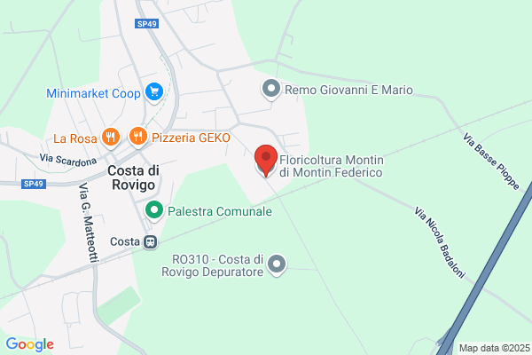 Montin franco