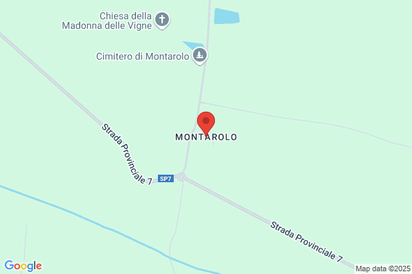 Montarolo Gianpietro & C. S.N.C.