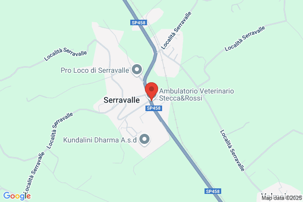 Ambulatorio Veterinario Dr.Stecca Dr.Ssa Rossi