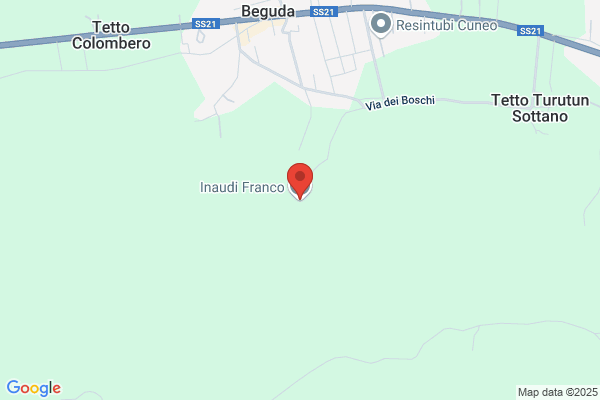 Inaudi Franco