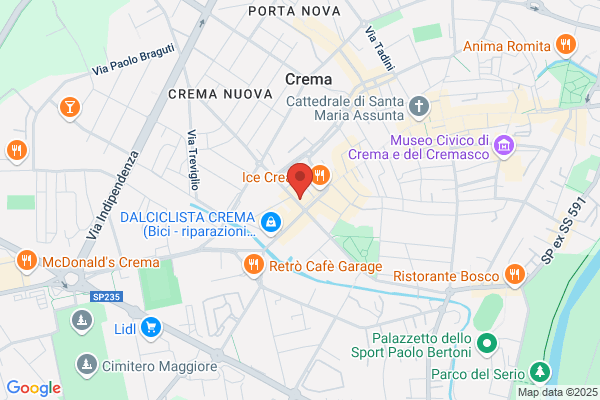 Immagine Fiorentina (S.R.L.)