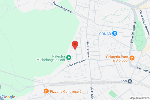 Top Dental Center Di Codazzi V. E C. (S.N.C.)