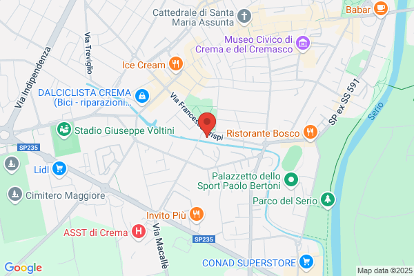 Il Regno dei Pulcini