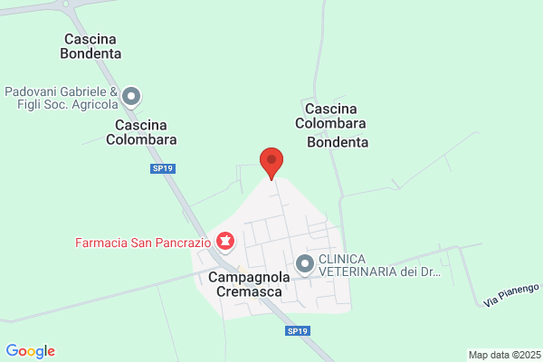 Pagliari E Zafferoni (S.N.C.)