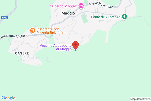 Vecchio Aldo Maria Sas