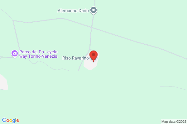 Ravarino virginio