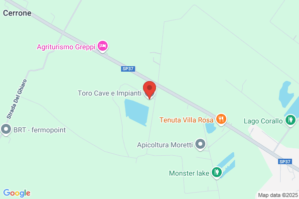 Tunnera cosimo