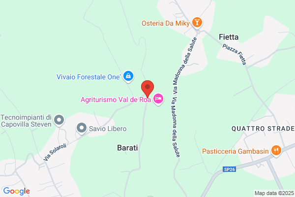 Regione Del Veneto