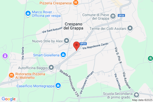 Zelbi cinzia (Dr.)