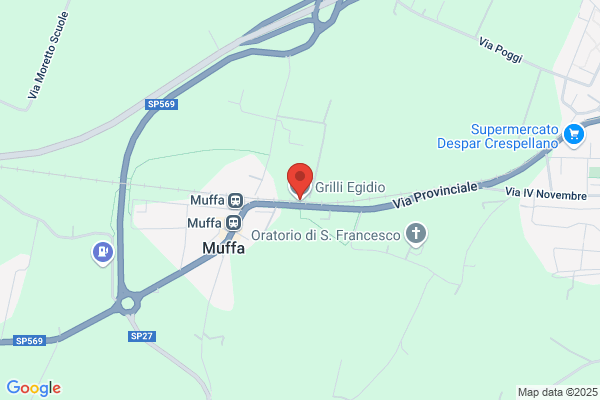 Parmeggiani emilio