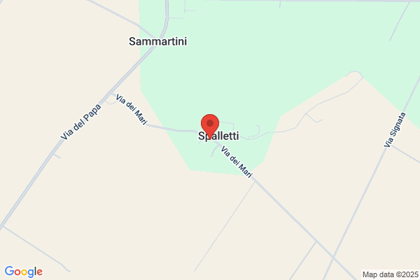 Gambini Daniele