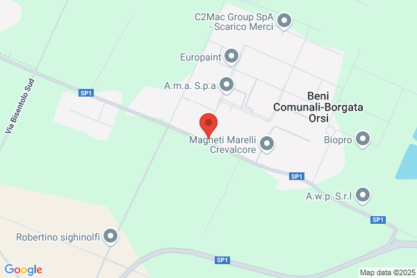 Tesini enzo
