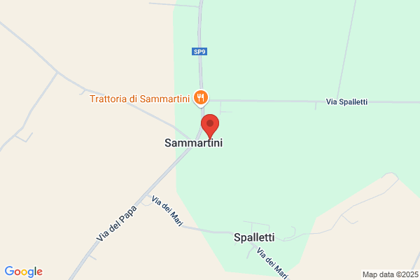Sammartini - Soc.Coop.Di Solidarietasociale A R.L.