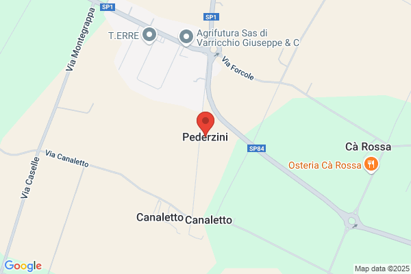 Carlo Pederzini