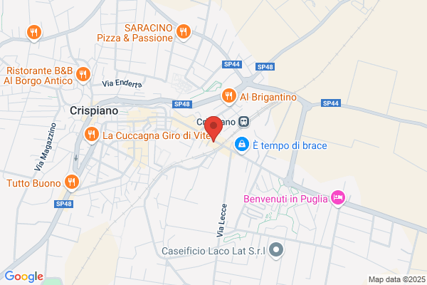 Mappa monica (Rag.)
