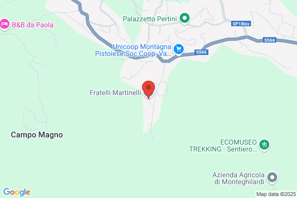 Ptp Fratelli Martinelli 20 (Or.Est.7-21 Inv. 8-)
