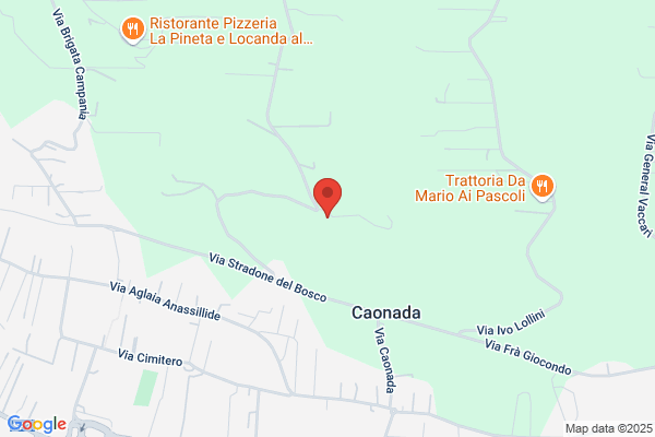 Tridimont Di Giacon Giulia