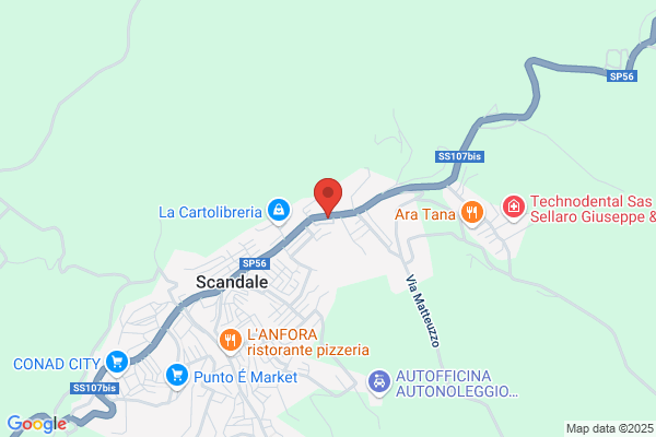 Fico Dott.ssa Elsa