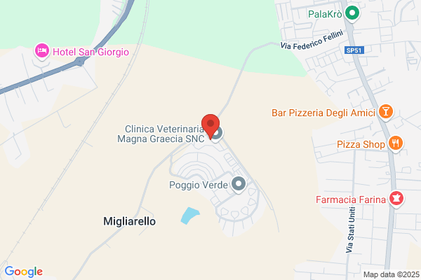 Fepident Dei F.Lli Pirillo S.N.C.