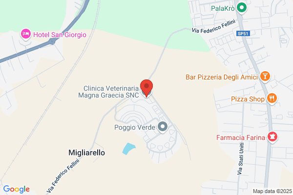 Clinica Veterinaria Magna Graecia