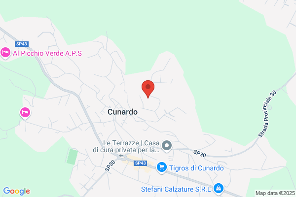 Gespu Srl