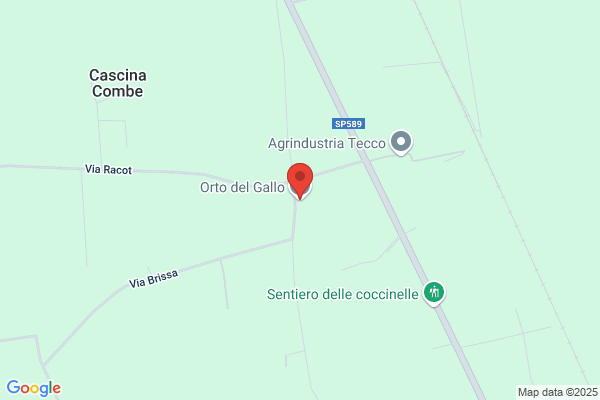 Gallo Oliviero