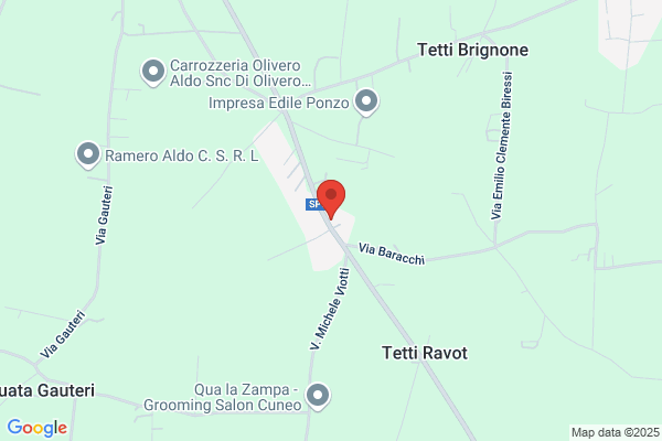 Violino     Attilio