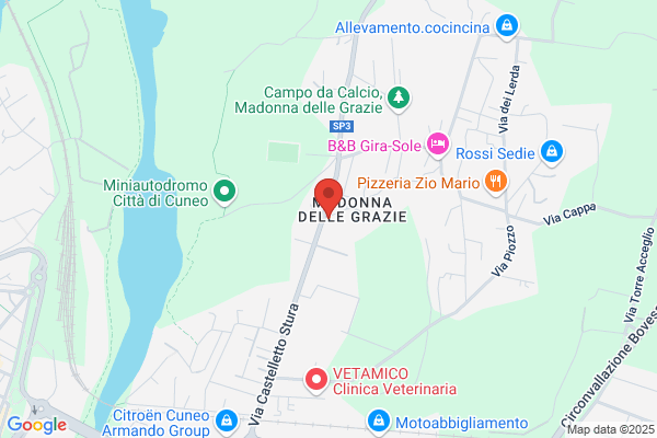Bar Zara