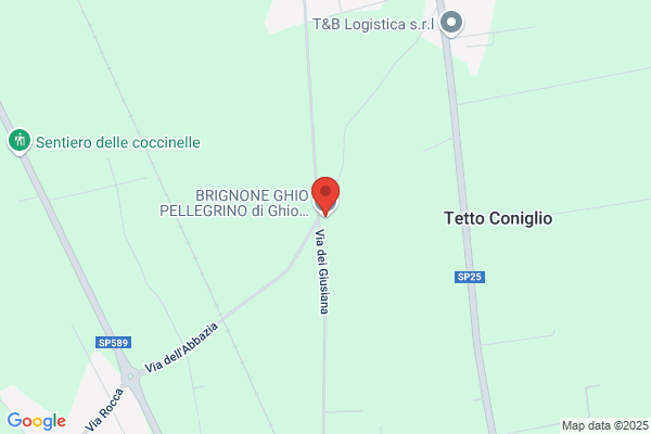 Impresa Edile Brignone Elio