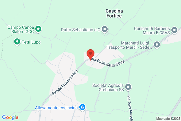 Viada angelo