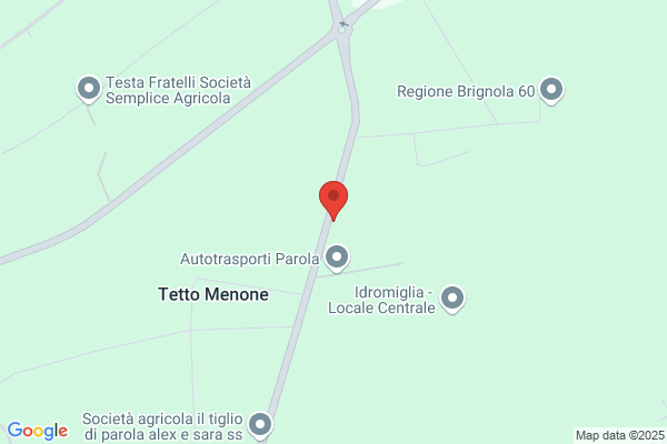 Il Nuovo Panda