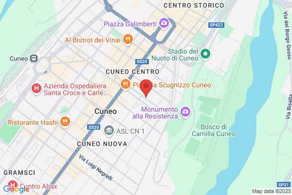 Studio Delfino S.R.L.