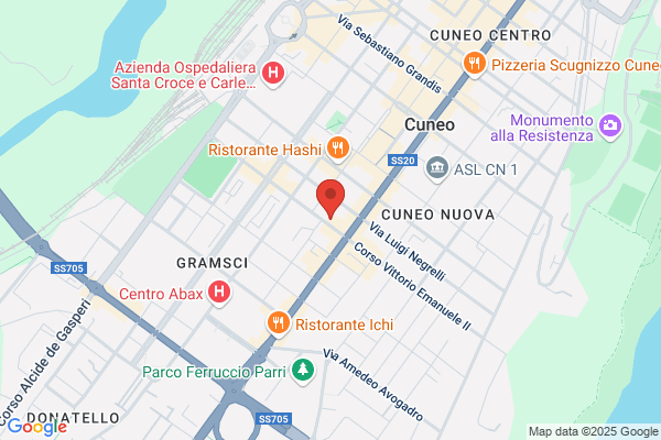 Macagno gemma (Dr.)