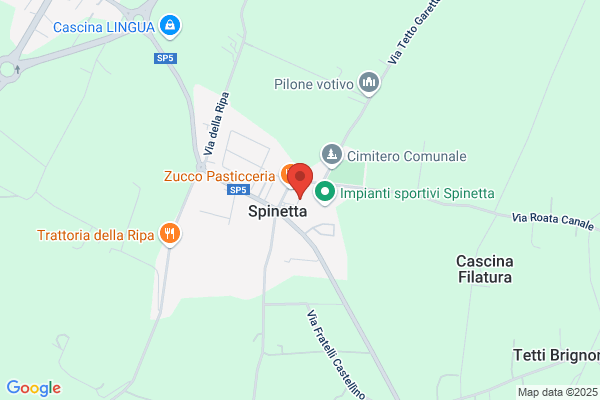 Vernetti irene