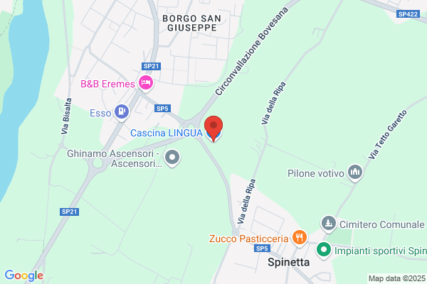 Lingua dario