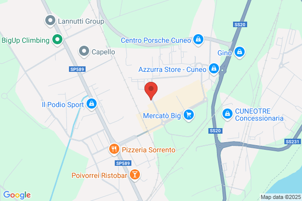 Piccardi modesto
