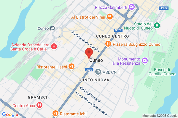 Sanpaolo Imi S.P.A.