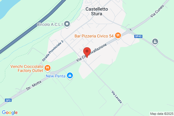 Audisio Automobili
