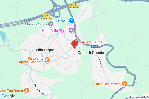 Impresa Costruzioni Rozzi Costantino & C. S.P.A.