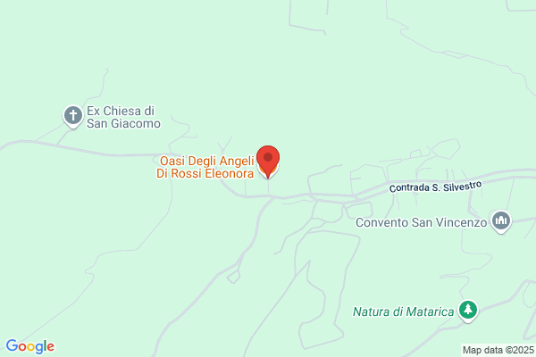 Oasi Degli Angeli Di Rossi Eleonora