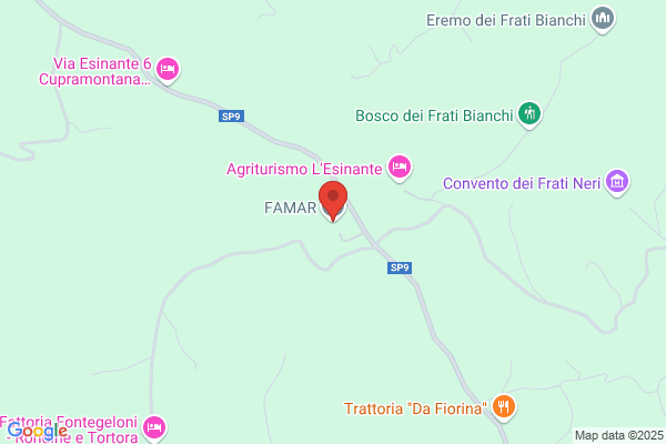 Famar Di Mariotti Gralino & C. Srl
