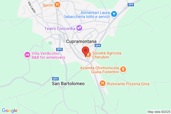 Gagliardini Cristiana
