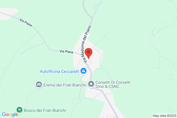 Palmurella Cucchi elide